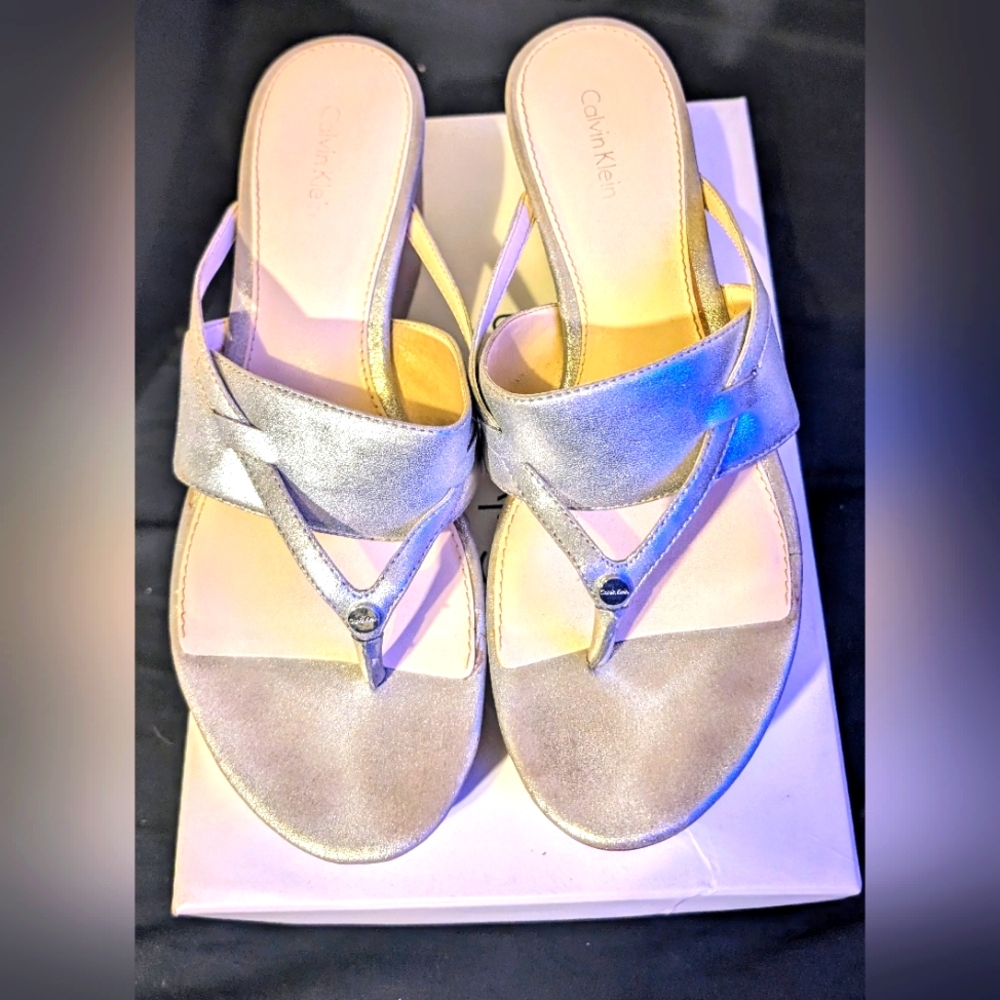 Calvin Klein Gabriella Dusty Metallic "Drizzle" Platform Sandals (New in Box)